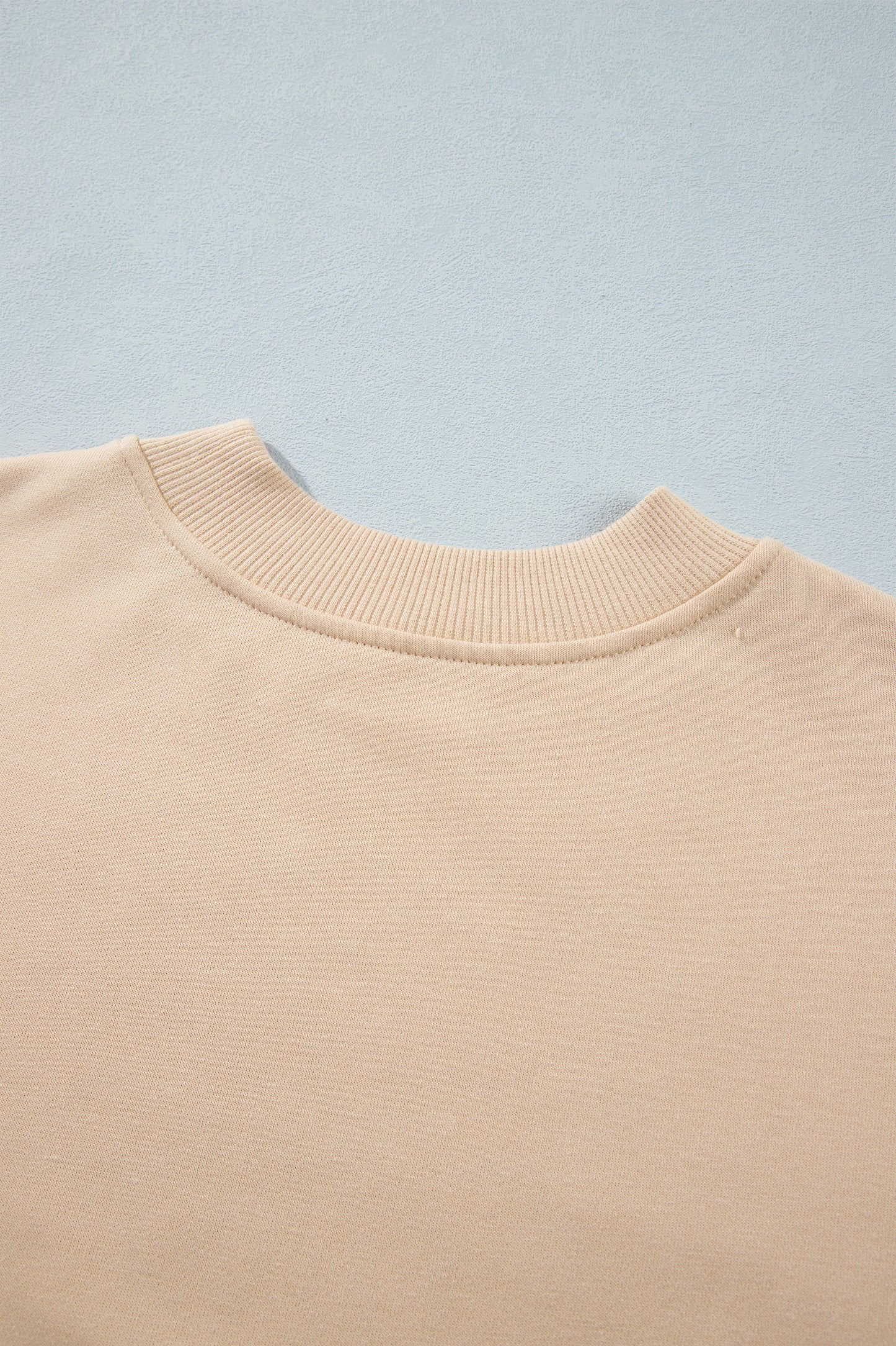 Light French Beige Western Embroidery Round Neck Pullover Long Sleeve Sweatshirt